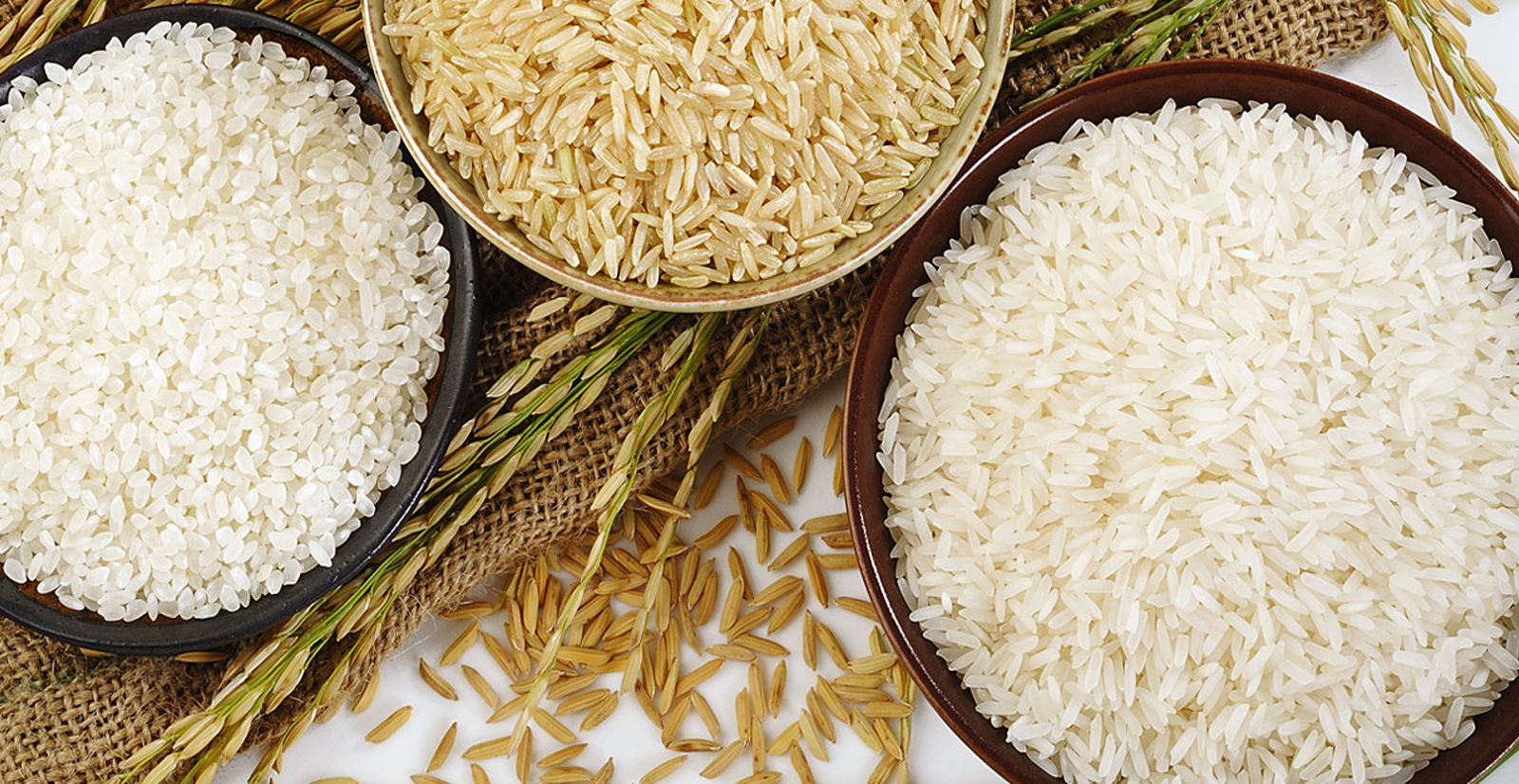 How do I start rice export business in india